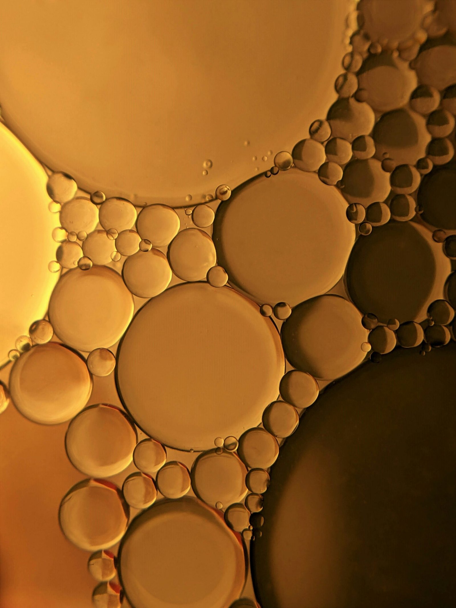 Tractor Transmission Fluid vs Hydraulic Fluid
